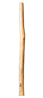 Earl Clements Didgeridoo (EC494)
